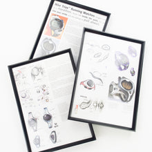 Load image into Gallery viewer, VINTAGE FRAMED NIKE TRIAX PRINTS x3
